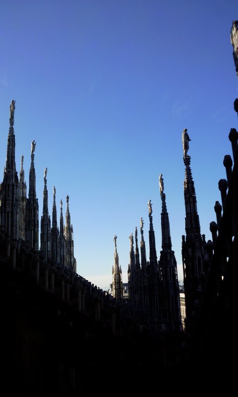 2012-01-08 13.41.32.jpg