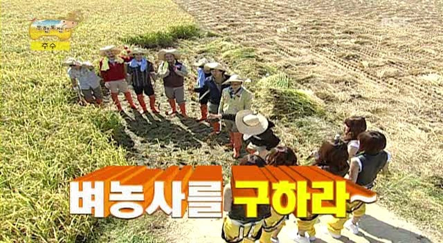 무한도전 벼농사.jpg