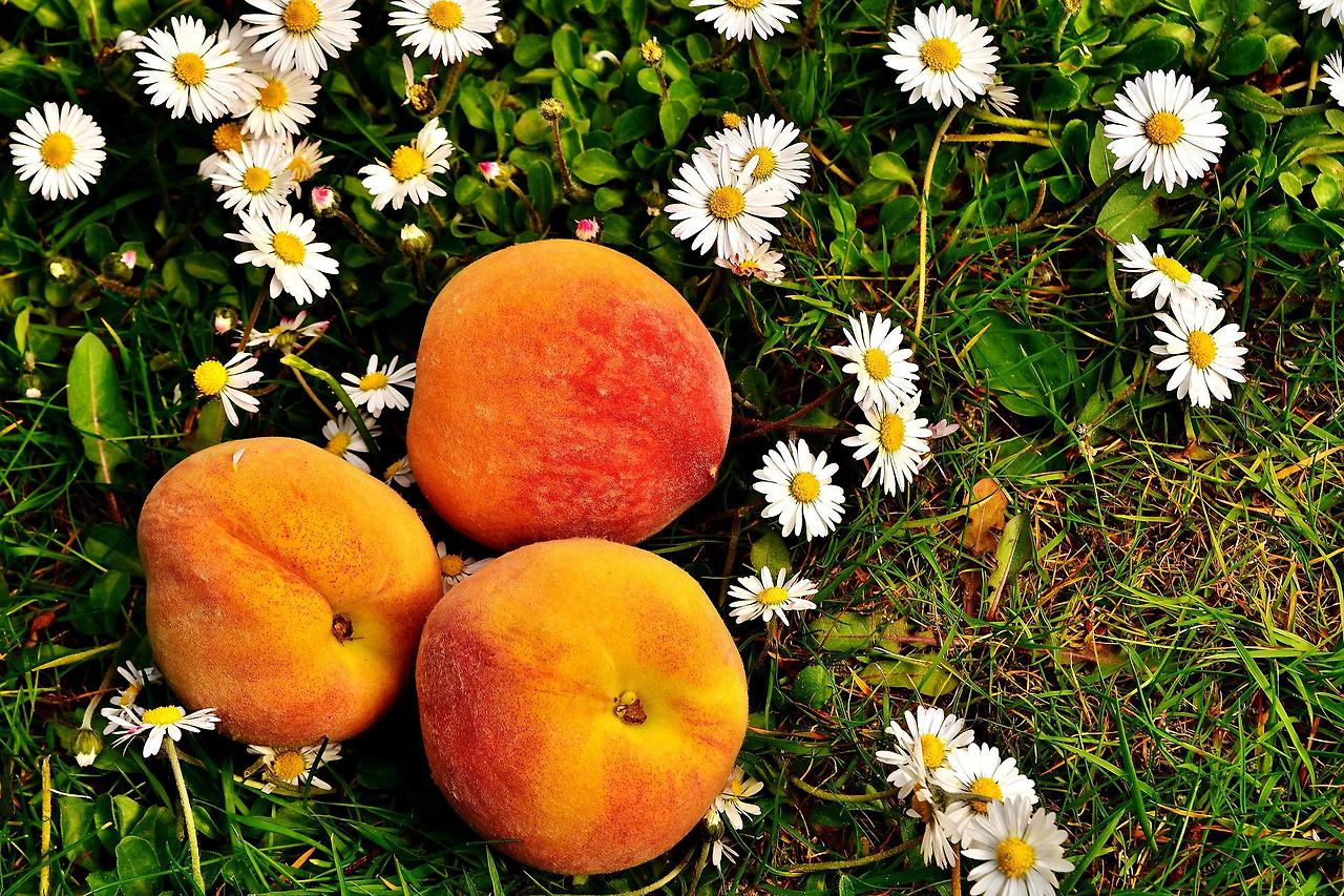 peaches-g20b2bcd89_1920.jpg