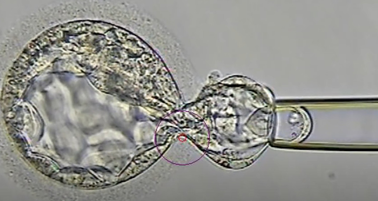 화면 캡처 2025-09-02 123245.jpg