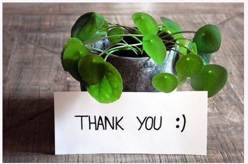 화면 캡처 2023-02-28 084435.jpg