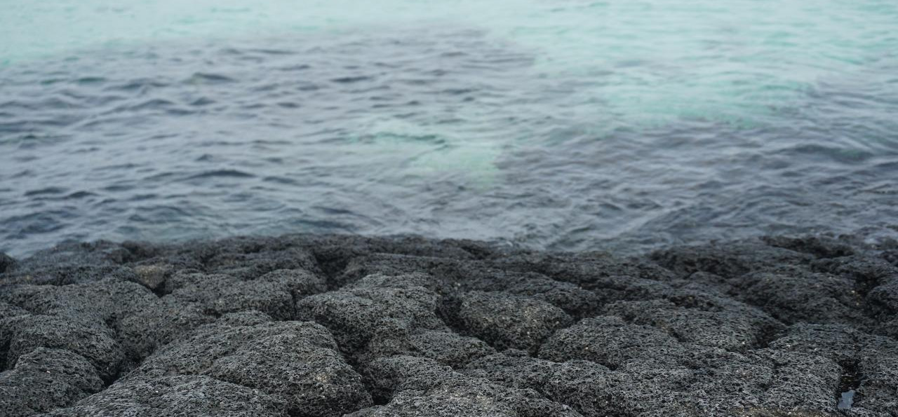 제주 깐깐한 물.jpg