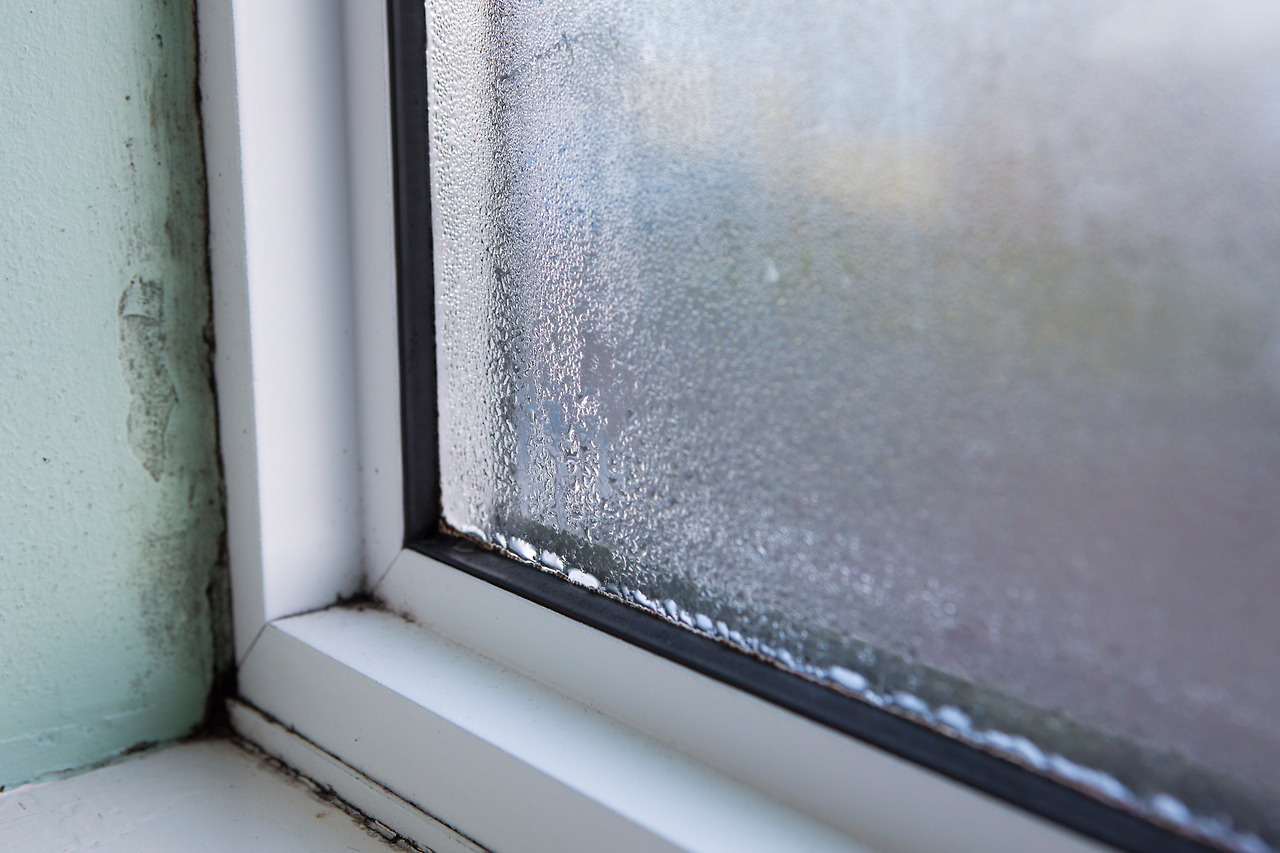 (84p-2) stock-photo-house-window-with-damp-and-condensation-595778573.jpg