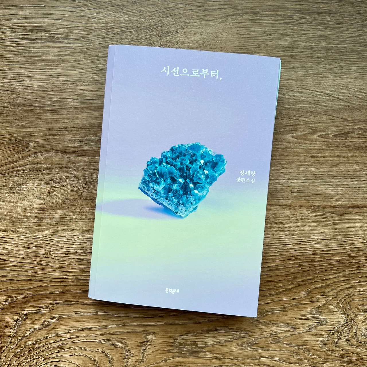 정세랑 - 시선으로부터 (1).jpg