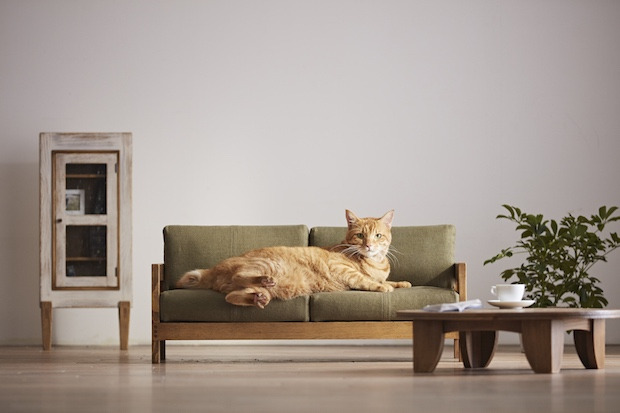 japan-miniature-furniture-cats-okawa-city-designboom-1.jpg