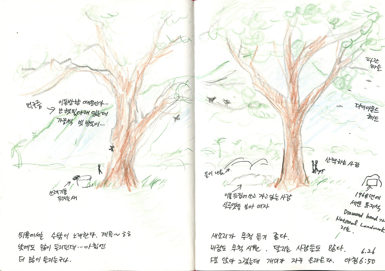 첫번째 아침 산책 혼자 그림.jpg