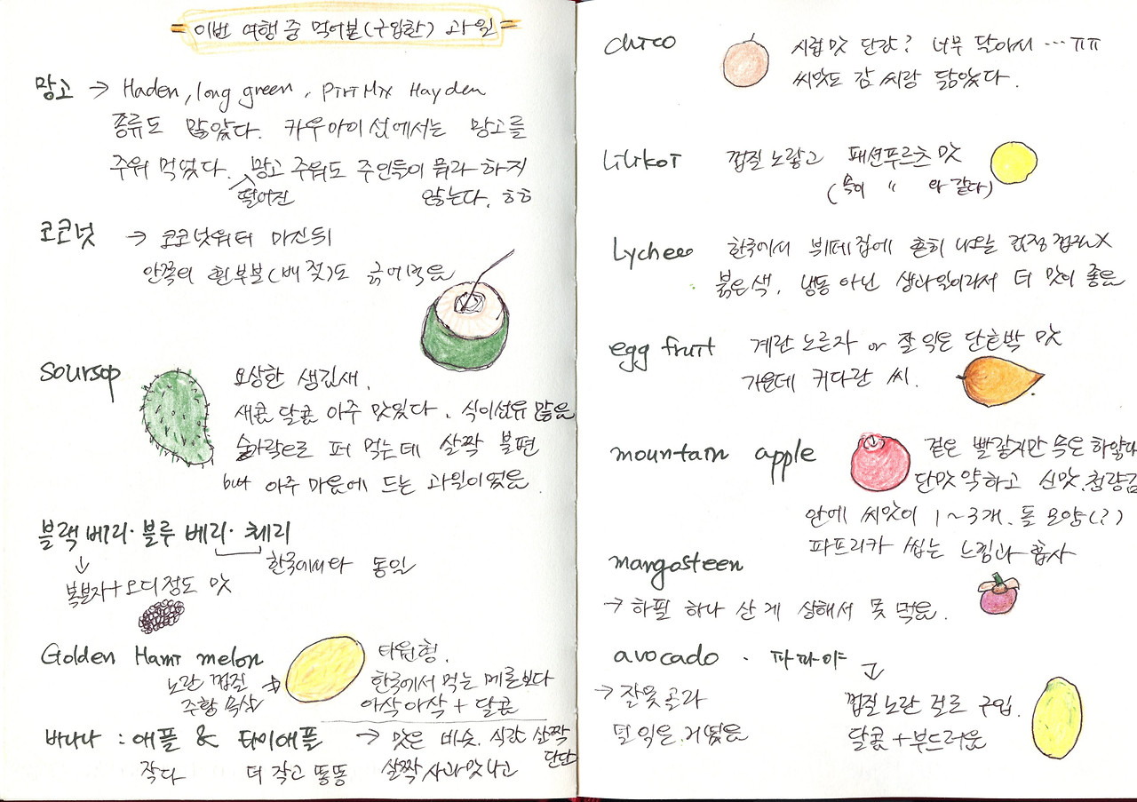 여행 중 먹어본 과일.jpg