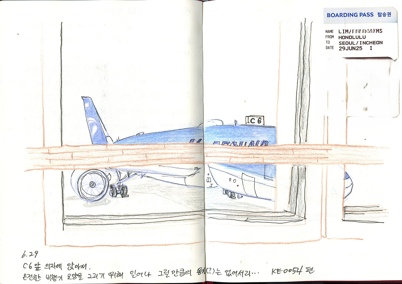 한국으로 가는 비행기.jpg
