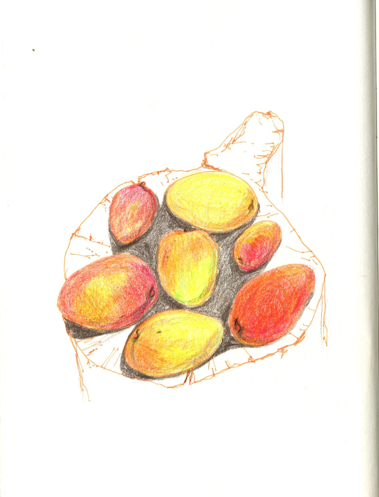 주운 망고 나무 위에.jpg