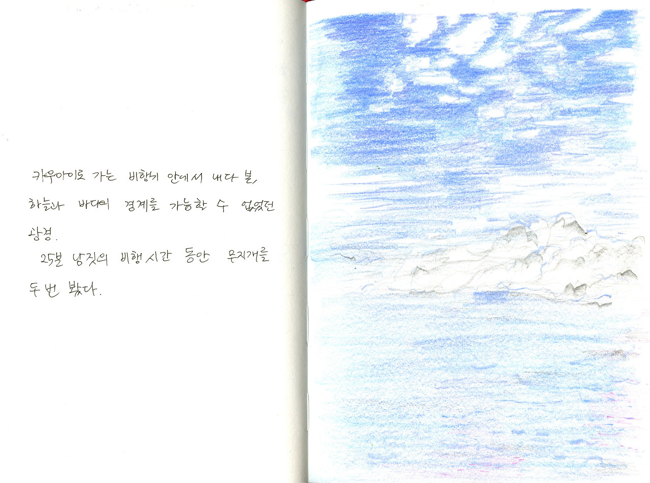 카우아이 가는 길 창밖.jpg