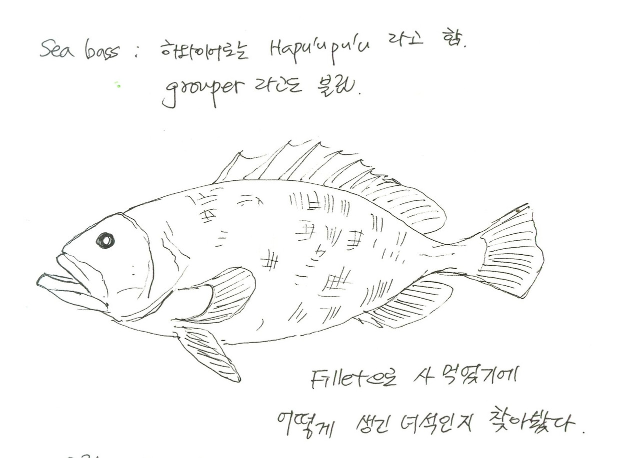 농어 생긴 모양.jpg