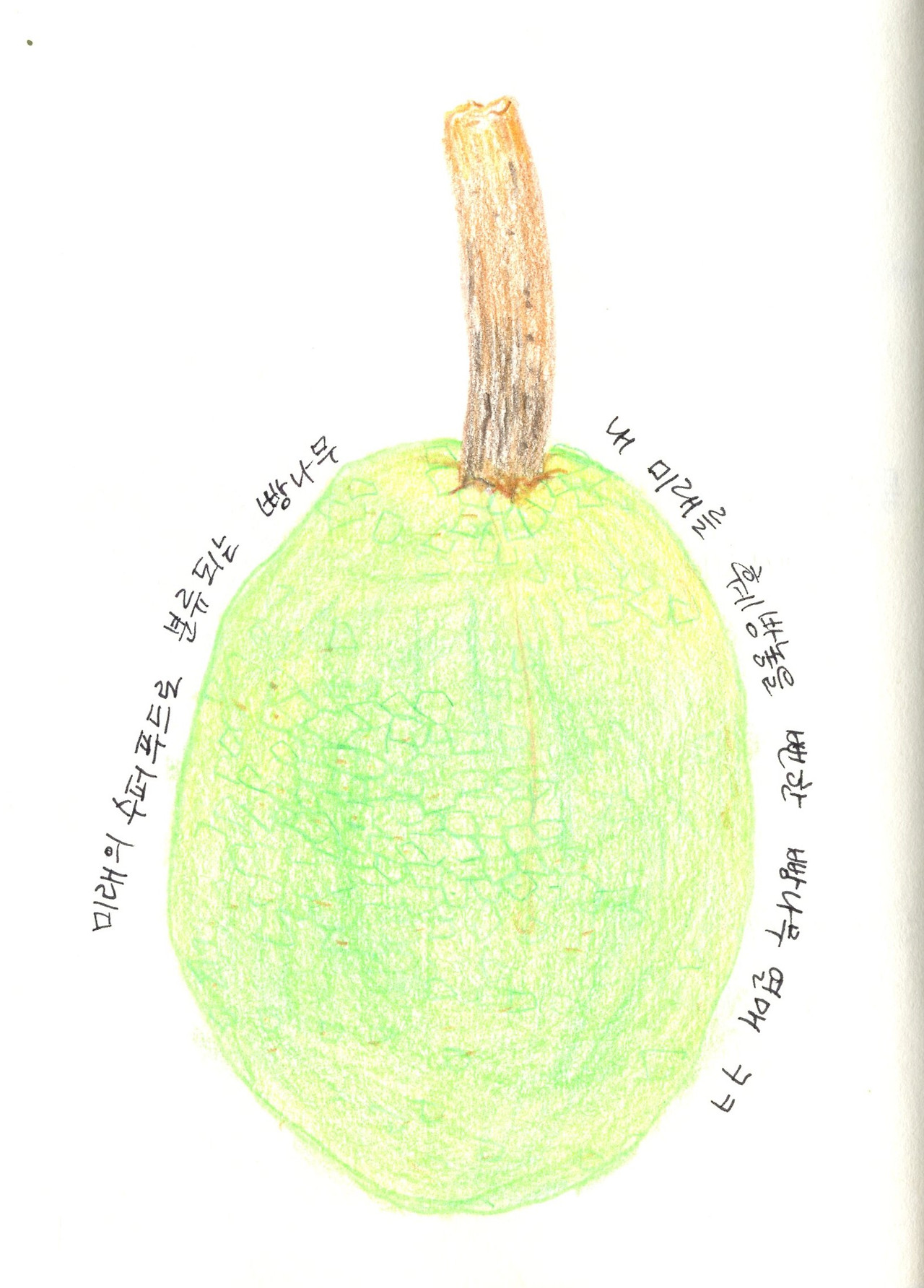 빵나무 열매.jpg