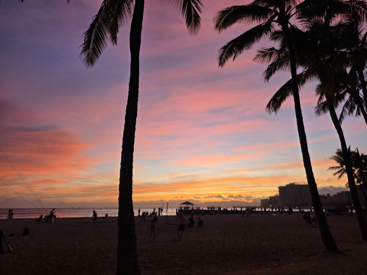 주황보라 바다 사긴.jpg