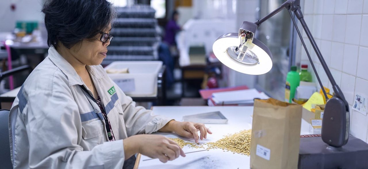 Full-width-image_IRRI-1-e1483710937251.jpg