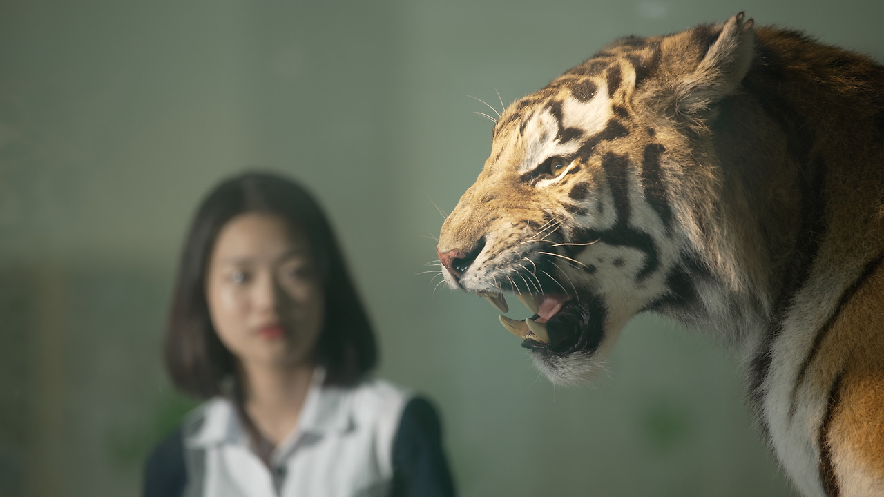 호랑이는 살아있다.jpg