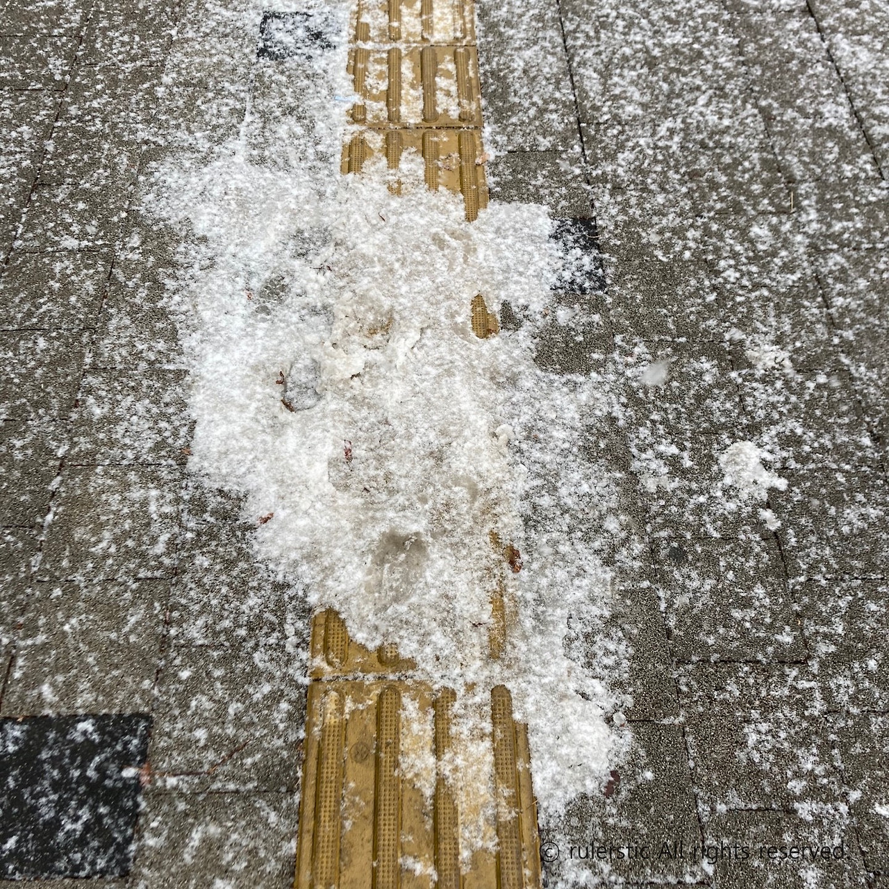 보행약자 (2).jpg