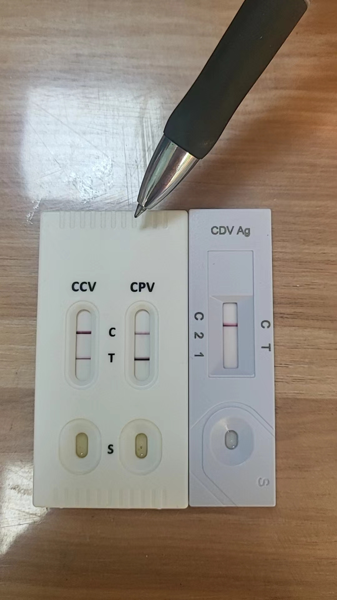 Weixin Image_20240520222739.jpg