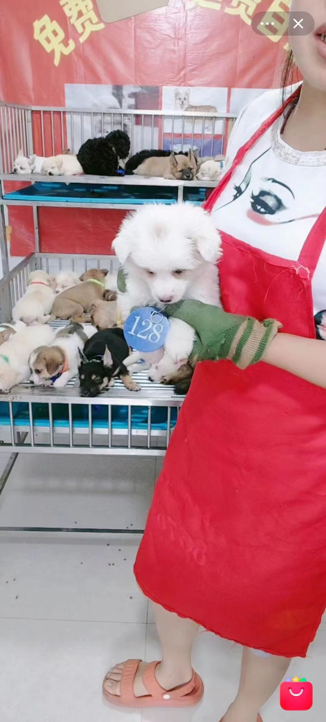 Weixin Image_20240520221645.jpg