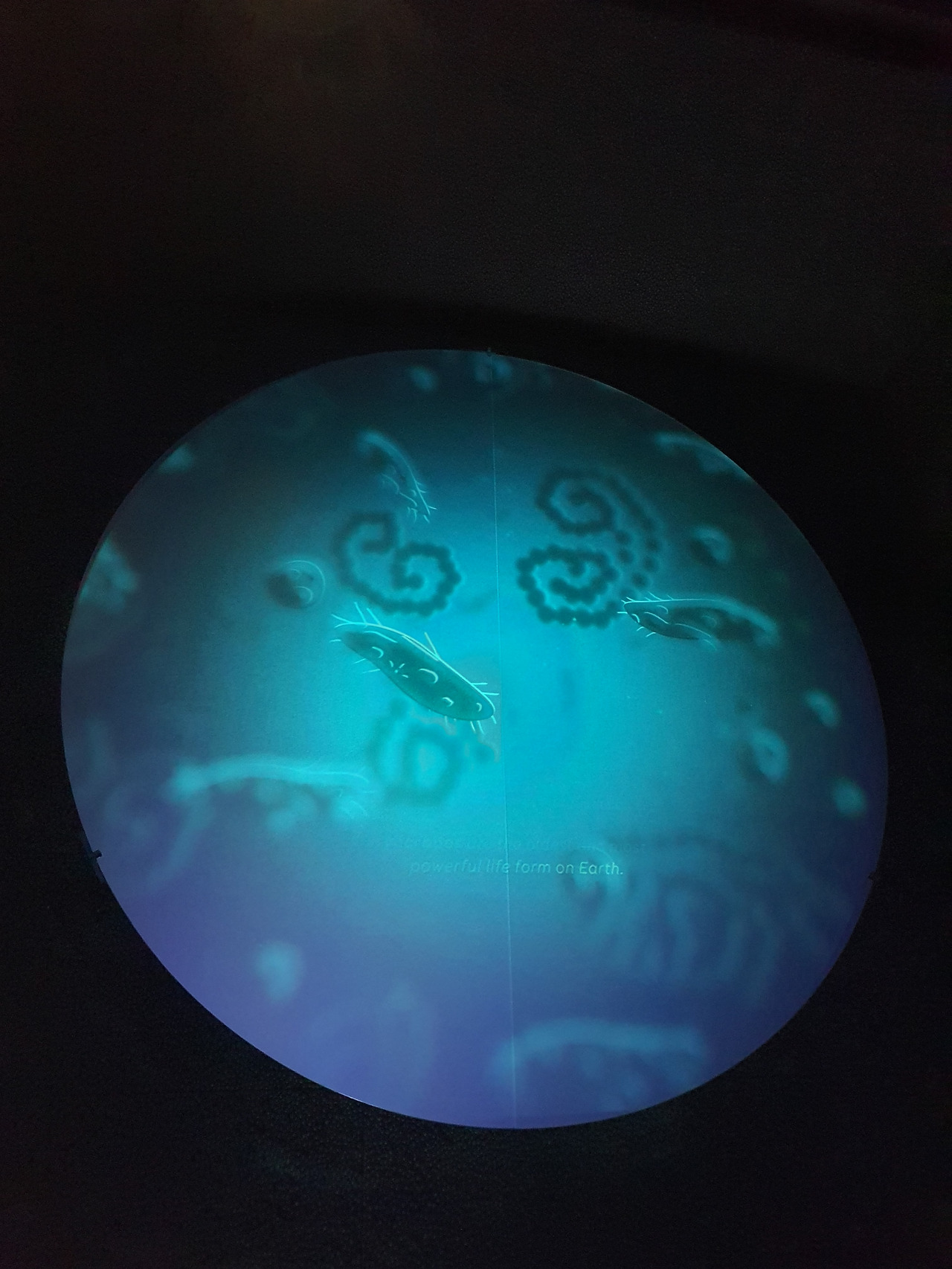 7. KakaoTalk_20230420_053706884_04.jpg