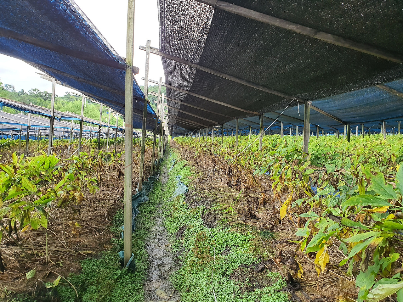 20200831_135042 (1).jpg