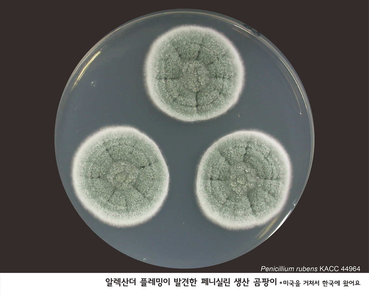 전시사진 최종-24.jpg