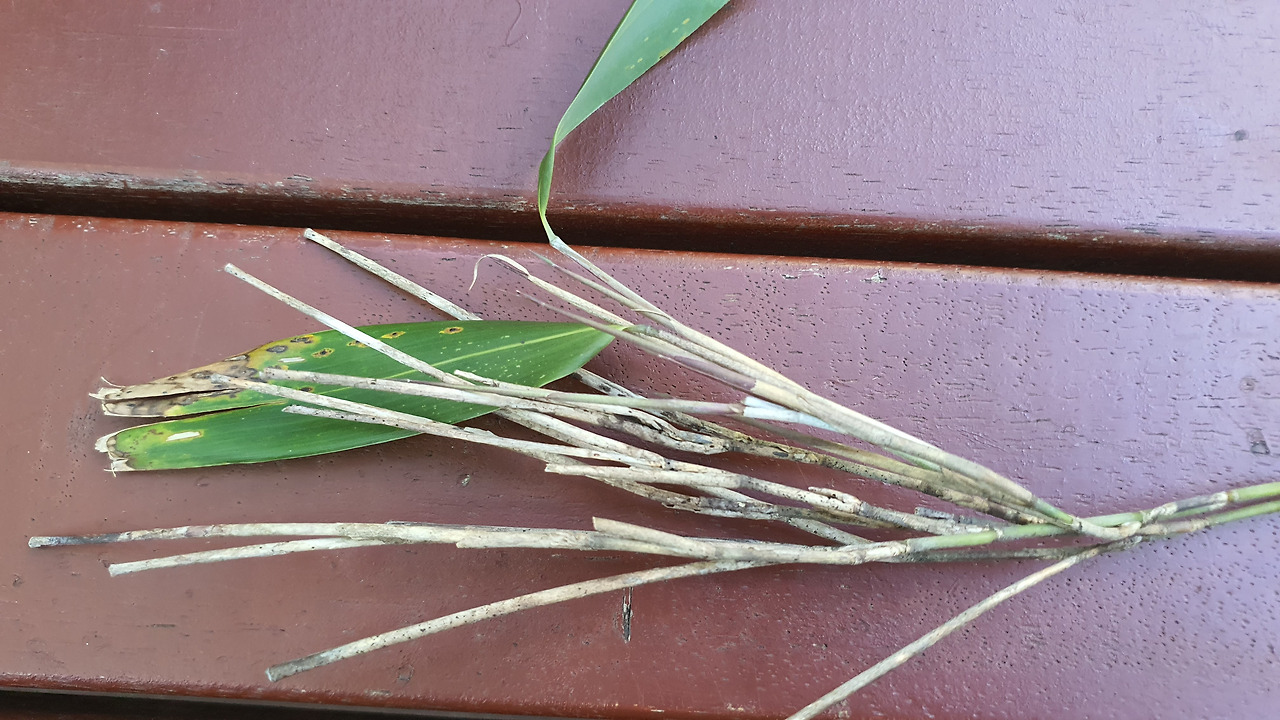 3 KakaoTalk_20231002_062914369_27.jpg