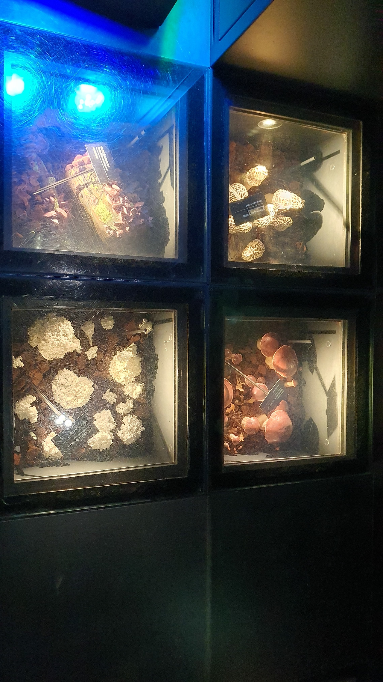 18-4 KakaoTalk_20230420_053226913_11 (1).jpg