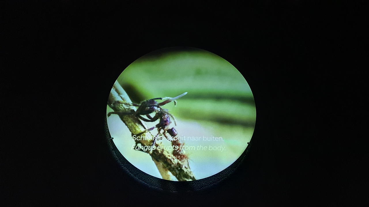 18-5 KakaoTalk_20230420_053226913_09 (1).jpg