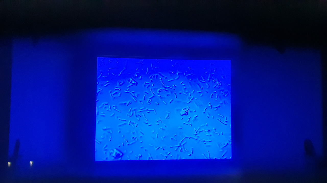 32 KakaoTalk_20230420_053223050_18.jpg