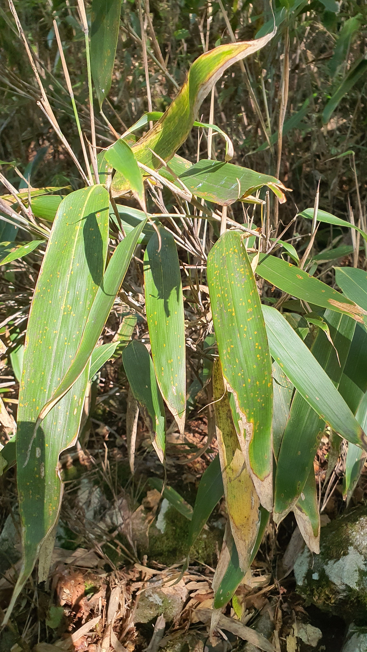 11 KakaoTalk_20231002_062914369_22.jpg