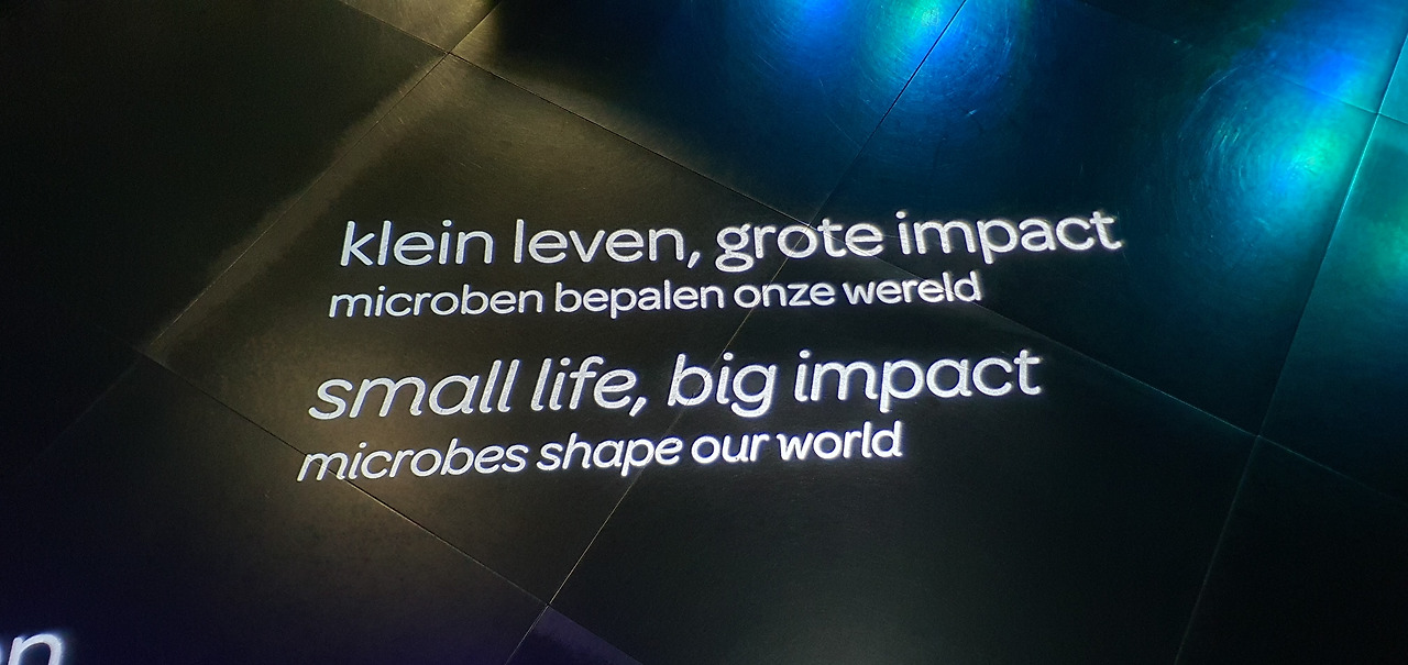 9. KakaoTalk_20230420_053613536_26.jpg