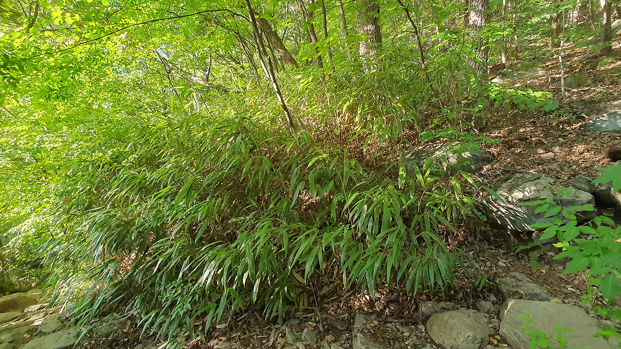 4. KakaoTalk_20231002_062950341_13.jpg