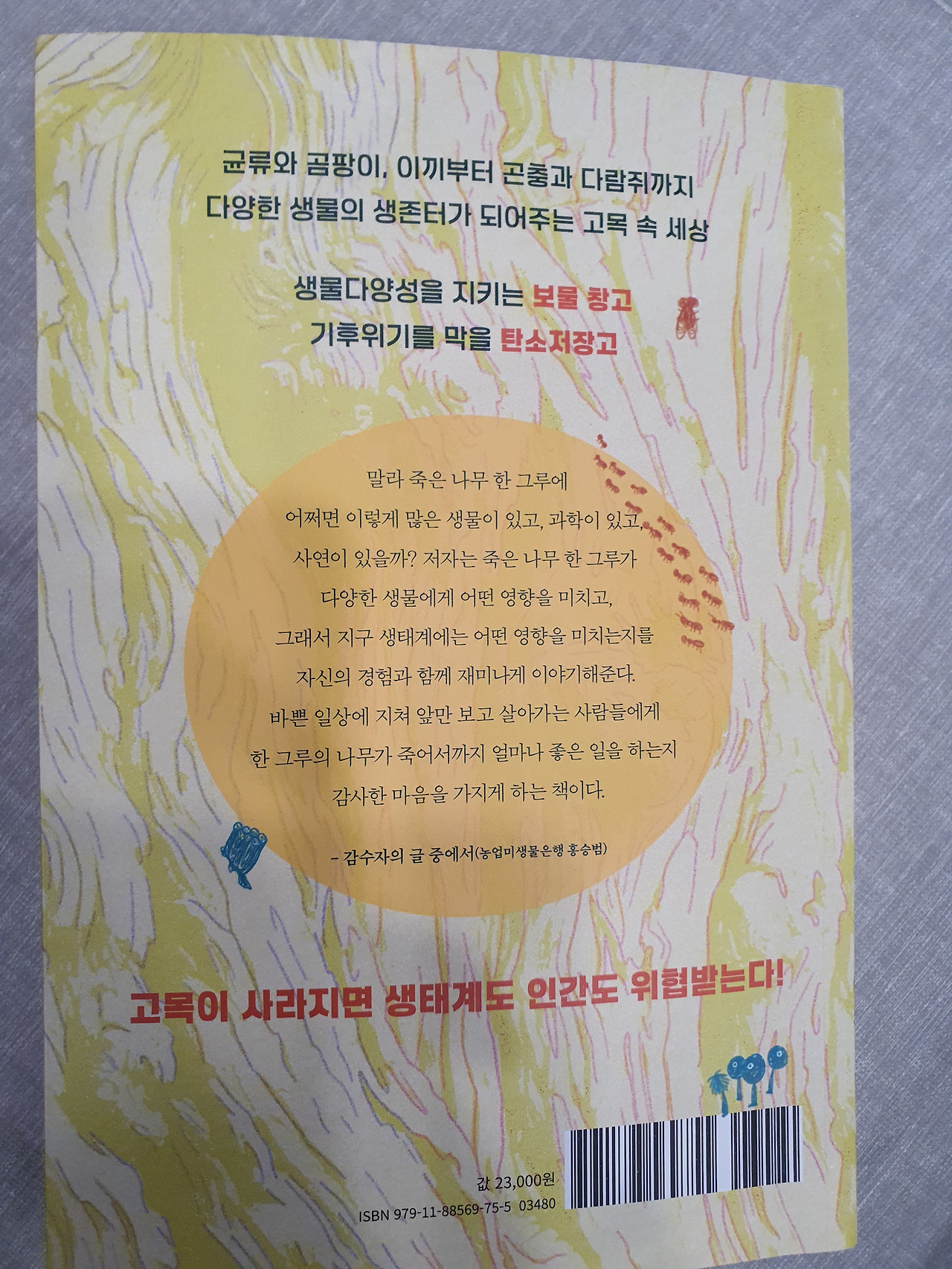 고목 원더랜드 뒷커버.jpg