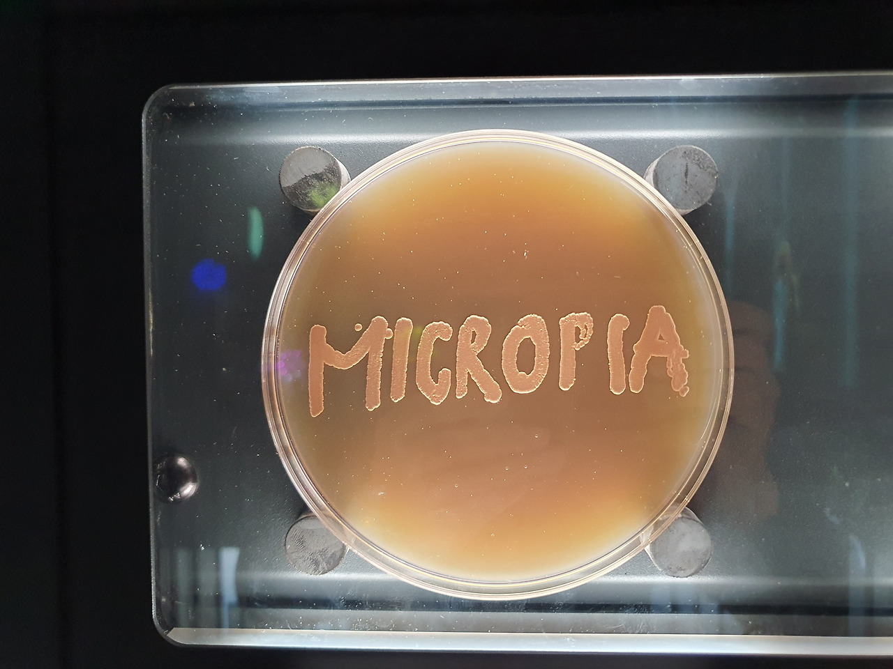 37 KakaoTalk_20230420_053223050_12.jpg