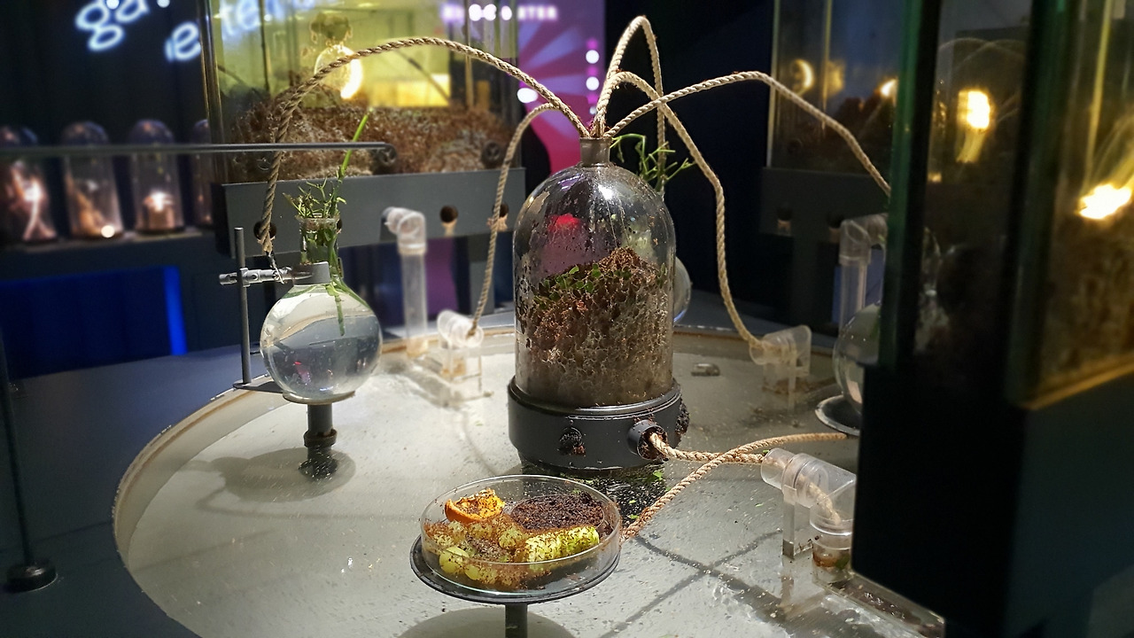 26 KakaoTalk_20230420_053223050_29.jpg