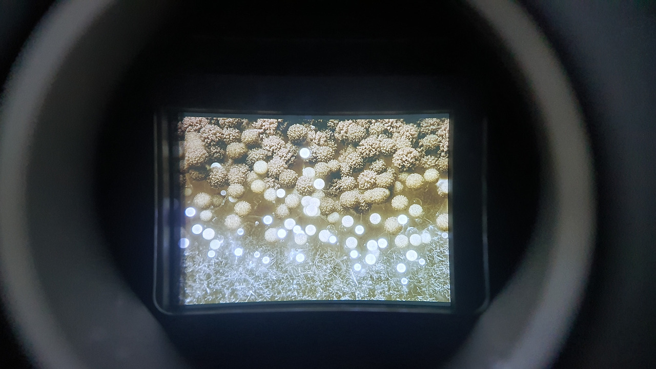 18-2 KakaoTalk_20230420_053226913_13 (1).jpg