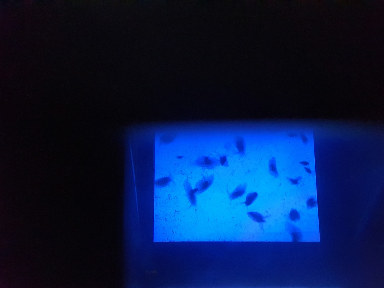 13. KakaoTalk_20230420_053613536_16.jpg