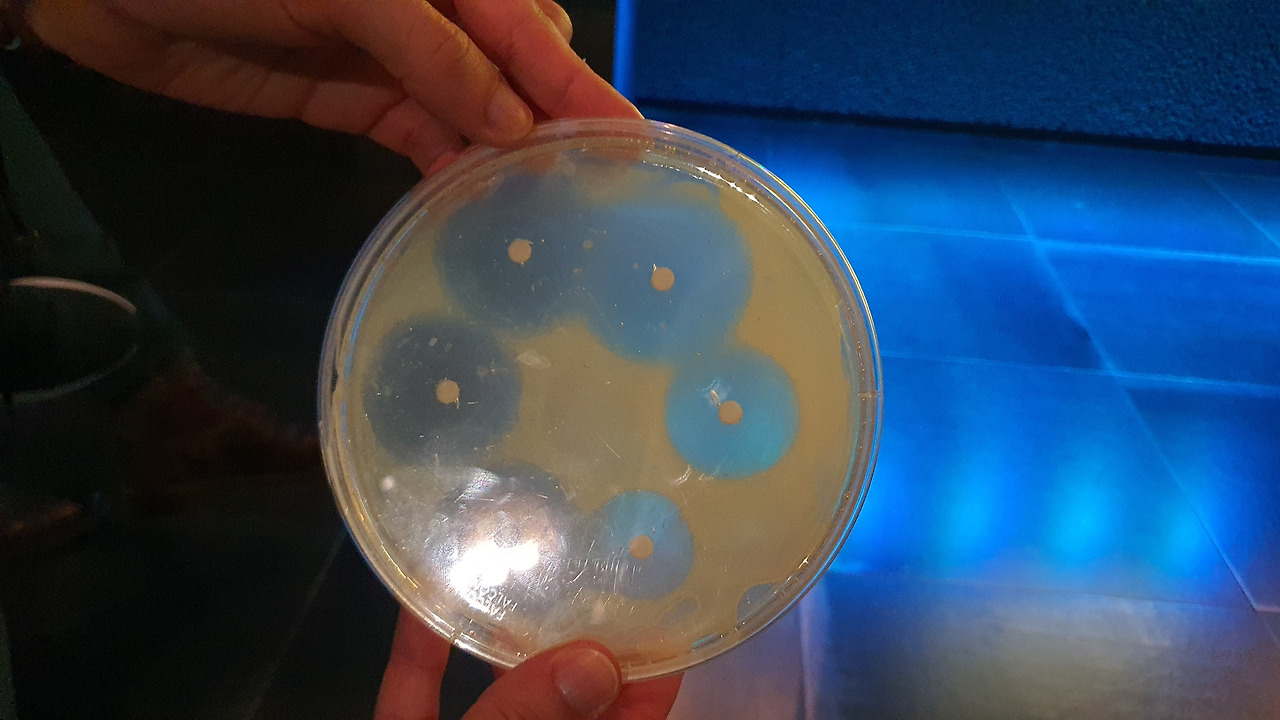 21 KakaoTalk_20230420_053226913_17 (1).jpg