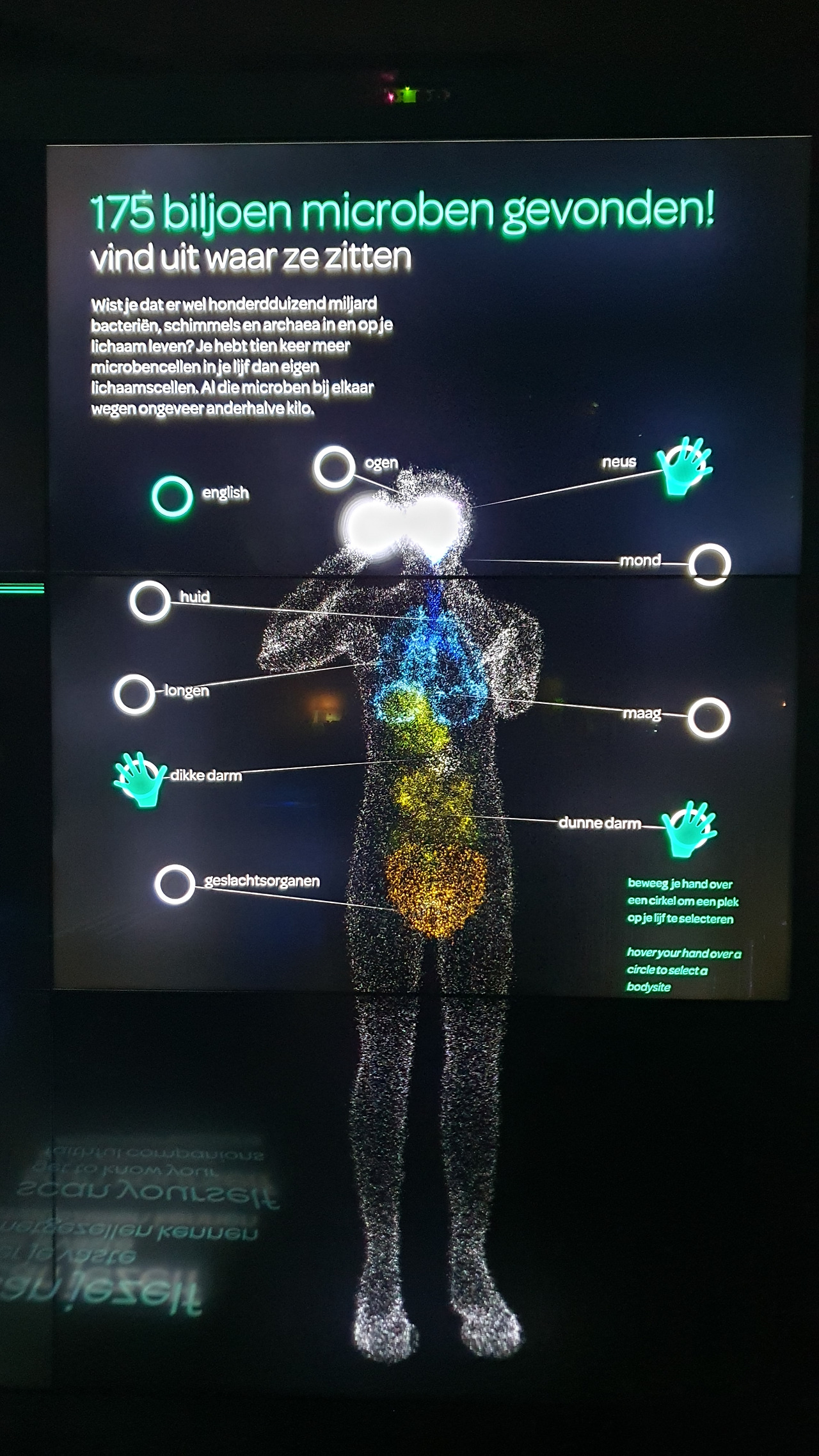 19 KakaoTalk_20230420_053226913_26.jpg