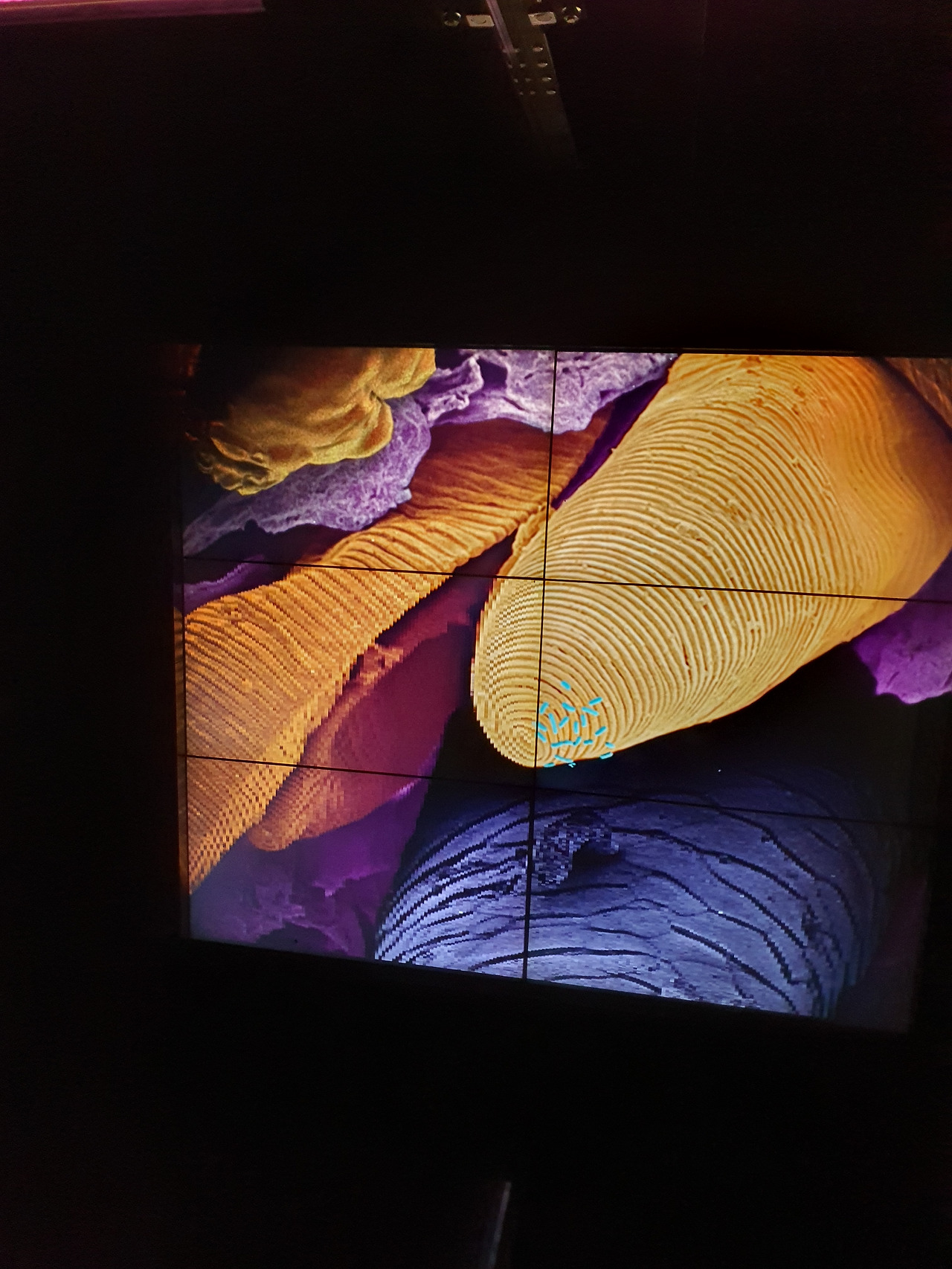 6. KakaoTalk_2023046. 20_053706884_05.jpg