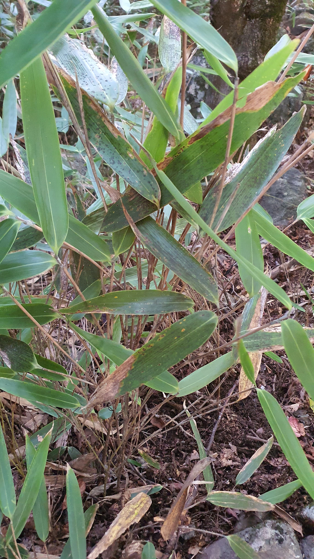 6 KakaoTalk_20231002_062950341_12.jpg