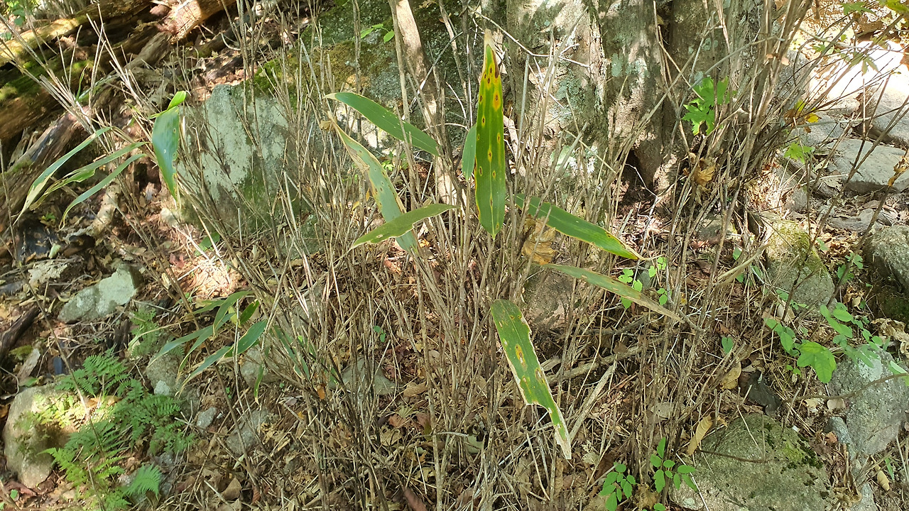 2. KakaoTalk_20231002_062914369_07.jpg