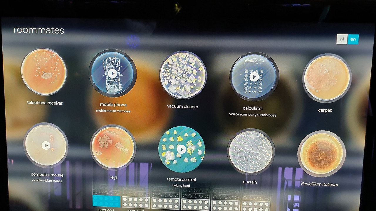 35 KakaoTalk_20230420_053223050_15.jpg