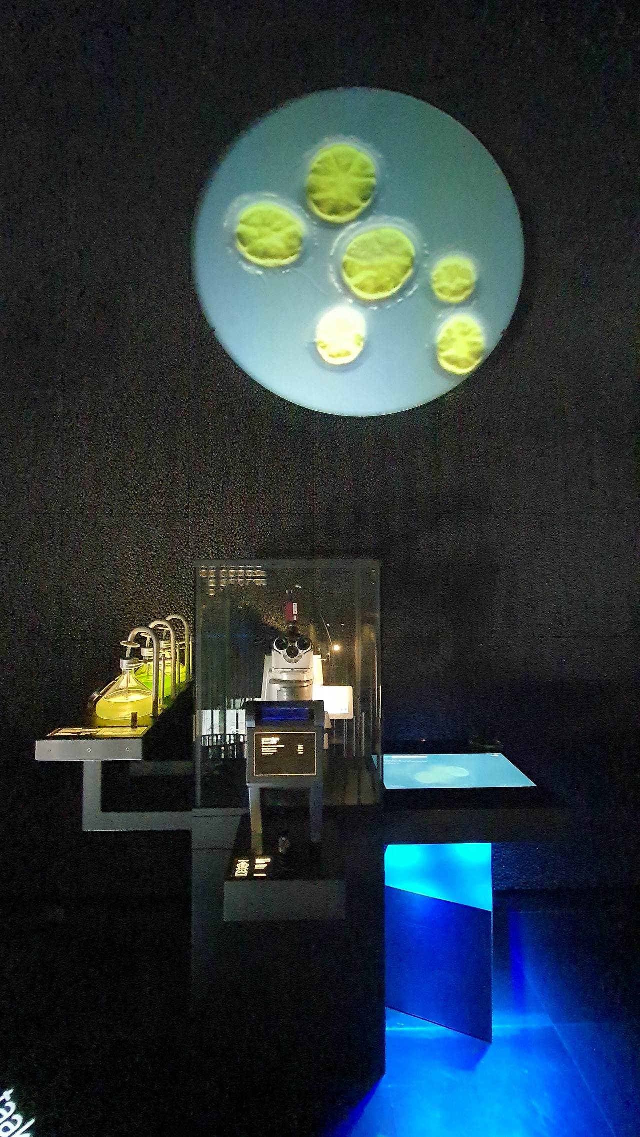 15. KakaoTalk_20230420_053613536_09.jpg