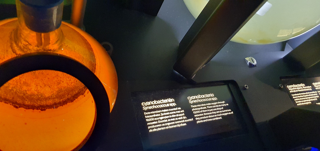 10. KakaoTalk_20230420_053613536_25.jpg