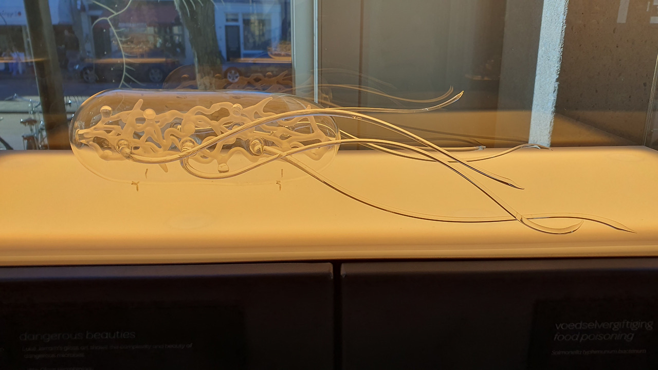 40 KakaoTalk_20230420_053223050.jpg