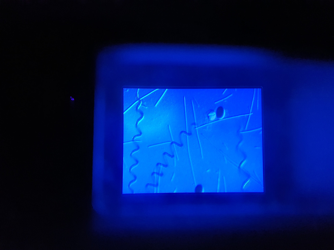 11. KakaoTalk_2023041120_053613536_23.jpg