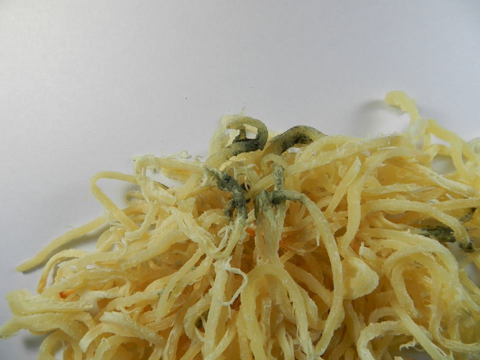 오징어채 곰팡이.jpg