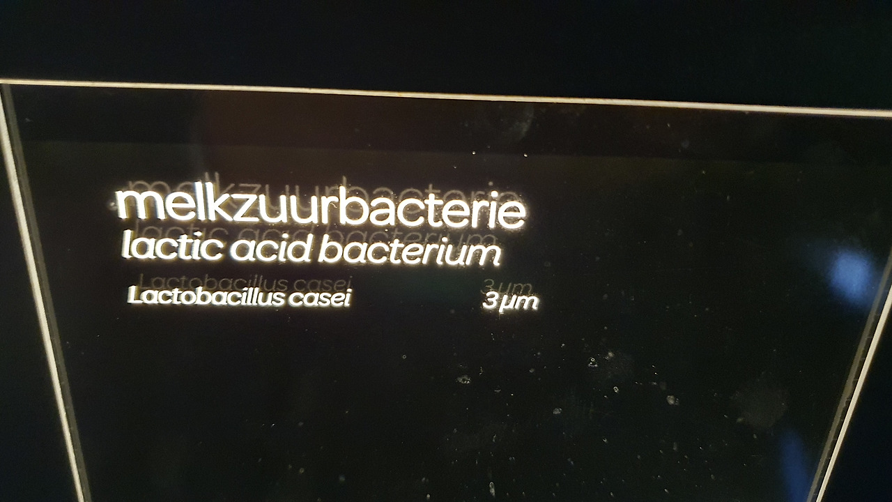 33 KakaoTalk_20230420_053223050_19.jpg