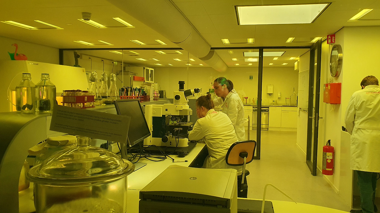 25 KakaoTalk_20230420_053226913_04.jpg